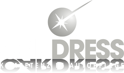 CAR DRESS Erlangen